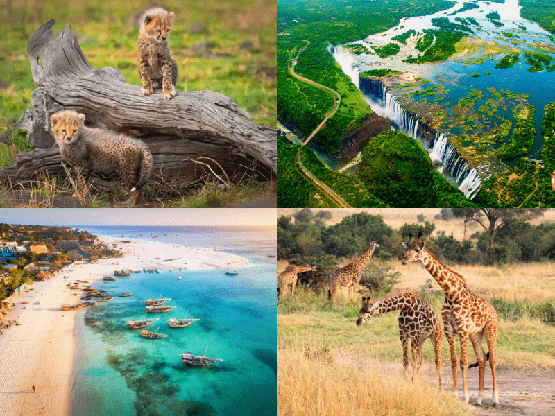 Flight inclusive Africa travel package